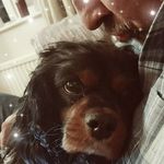 Stuart Dow - @stuartdow29 - Instagram