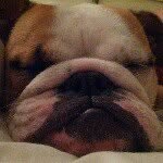 Stuart McDowell - @stuartmcdowell - Instagram
