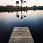 Stuart Downes - @stu_downes - Instagram