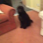 Stuart - @stuart.drury1234 - Instagram