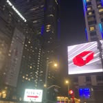 Stuart Duke Wilson - @studukewilson - Instagram