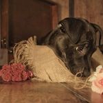 Stuart Duncan - @stuart.duncan.7505 - Instagram