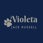Stuart Duncan - @viojackrussell - Instagram