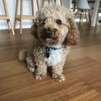Stuart Dunne - Facebook