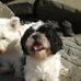 Stuart Durrant - Facebook