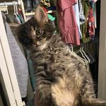 Stuart Duvall - @trixscamp99 - Instagram