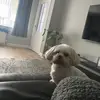 stuartdye816 - @stuartdye816 - TikTok