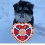 Stuart Easson - @eass237 - Instagram
