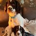Stuart Eaton - Facebook