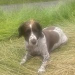Stuart Eaton - @eaton_stuart - Instagram
