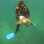 Stuart Edmondson - @stusavessharks - Instagram