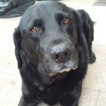 Stuart Edwards - @stuart.edwards.1422 - Instagram