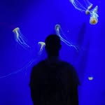 Stuart Edwards - @it_is_edwards - Instagram