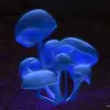 Stuart Edwards - @stuart.edwards1 - TikTok