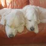 stuart.edwards - @stuart.edwards70 - Instagram