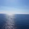 Stuart beglin - @stuart.beglin - TikTok