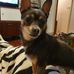 Stuart Eisenberg - Facebook