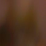 stuart - @stuart.eldridge07 - Instagram