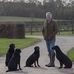 Stuart Elliot - Facebook
