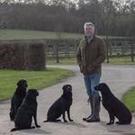 Stuart Elliot - @stuart.elliot.31 - Instagram
