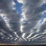 Stuart Ellis - @stuartellis6342 - Instagram