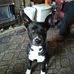 Stuart Ellis - Facebook