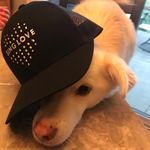 Stuart Ellis - @stuart.ellis.73 - Instagram