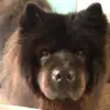 stuartellis41 - @stuartellis41 - TikTok