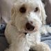 Ellen Stuart - Facebook