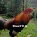 Stuart Elmer Oakgrove Anipse - Facebook