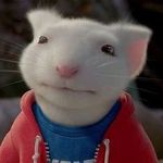 Fuck Stuart Little - @england.against.stuart - Instagram