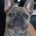 Stu England - Facebook