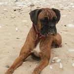 Stuart England - @stuart.england3 - Instagram