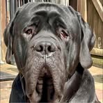 Stuart Epps - Facebook