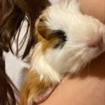 stuart - @stuart.escobarr - Instagram