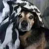 Stuart Farish - @stuart.farish - TikTok