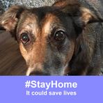 Stu Farley - Facebook