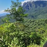 Stuart Farley - @plagejanot - Instagram