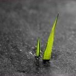 Stuart Farley - Facebook