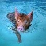 Stuart Farmer - @stuart.farmer.1963 - Instagram