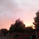 Ŝțûářţ fářmêř - @stuartfarmer_jr13 - Instagram