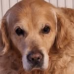 Stuart Lesley Farmer - @stuartfarmer132 - Instagram
