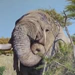 Stuart Farquharson - @farquharstu - Instagram