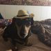 Stuart Farrell - Facebook