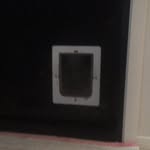 Stuart Farrell - @thedoggiedoorisclosed - Instagram