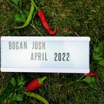 Stuart Farrow - @bogan_joshfoodvan - Instagram