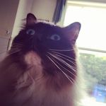 Stuart Faulkner - @stuoutandabout - Instagram