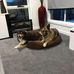 Stuart Fenton - Facebook