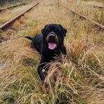 Stuart Fenton - @reaper_king_of_the_north - Instagram