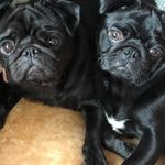 Stuart Ferguson - @stuartferguson31 - Instagram